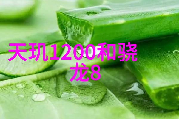 逆袭之路从低贱到尊贵的故事