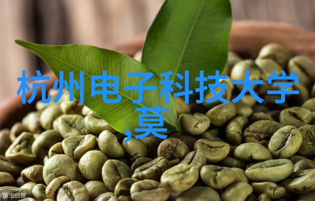 PVC下水道管件图片大全详解家居排水系统配件的全貌