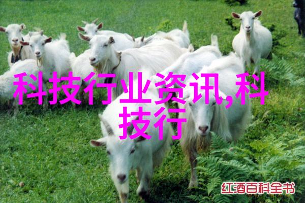 交联剂构筑材料世界的化学纽带