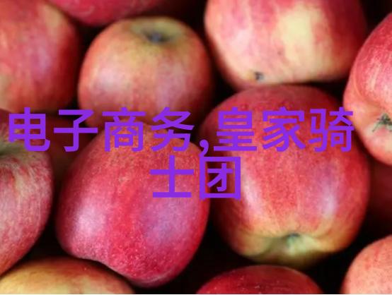 石家庄财经职业学院学术与实践的完美融合