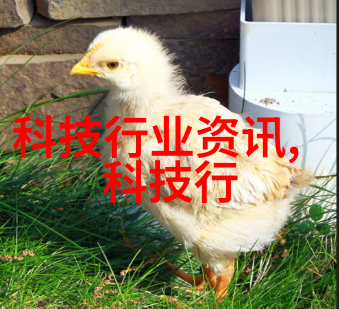 宝宝的扇贝-宝宝的扇贝真会夹几巴啊探秘小朋友们的海洋乐趣