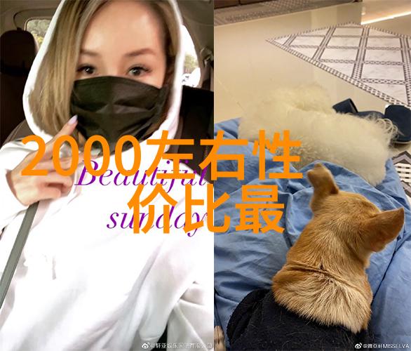 无限可能以图为证创造独特的车身风格