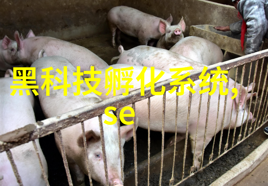 丝网制品有限公司在产品创新方面有什么独特之处