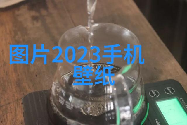 技术进步是否会降低未来几年的平均每吨316L不锈钢板价格水平