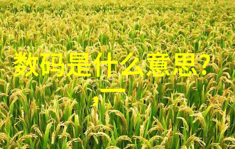 智能资讯时代人工智能大数据与新闻传播的未来融合