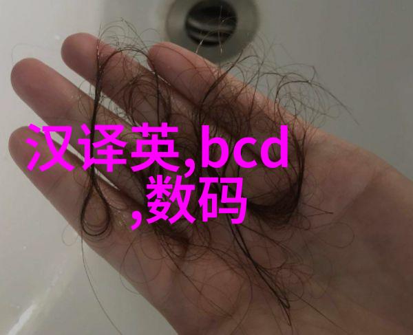 粉碎机的不懈追求从纸张到梦想破碎又再生