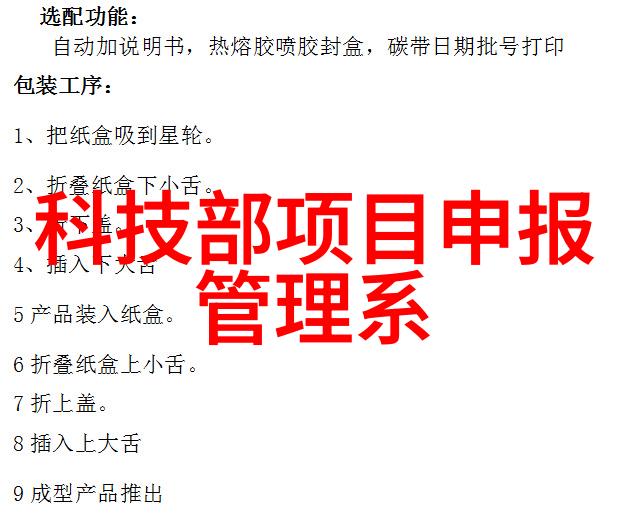 自动化输送设备革命效率与创新并行前行