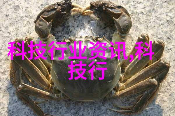 应用领域拓展多功能直接包装机械在特殊环境中的应用案例研究