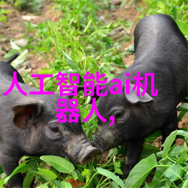 神奇药丸丸剂机械的奥秘之旅