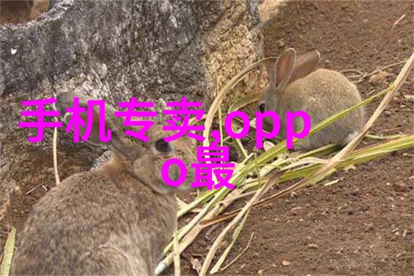 主题我是如何在家里利用动态管式反应器做出美味饮料的