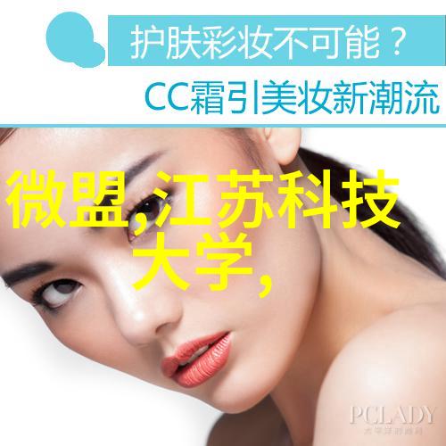 tjh25型高效波纹规整填料之谜究竟是什么让它在工业领域占据一席之地