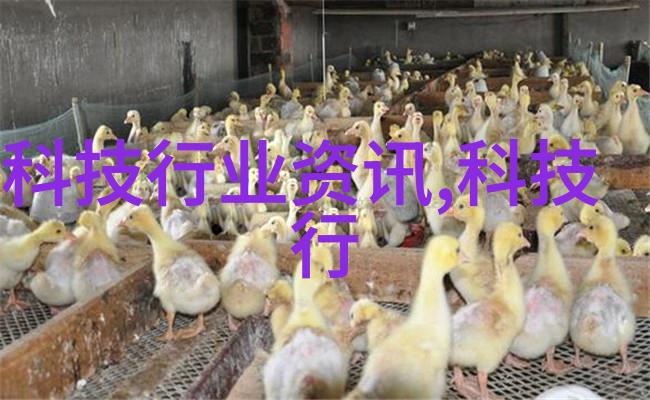 二手房翻新我是如何把旧屋变成梦家的小故事