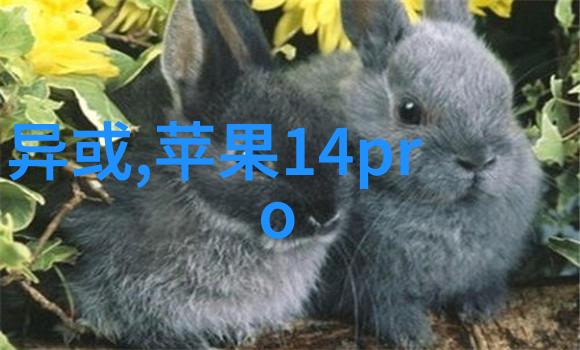 紫彩乃我和紫彩乃的那些花好时光