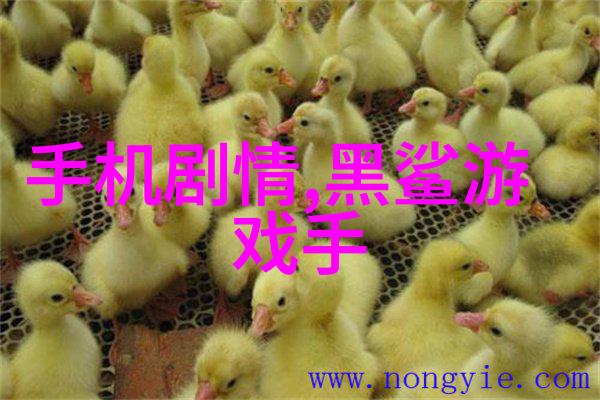 探究不同类型油水分eparator 内部结构差异与优势