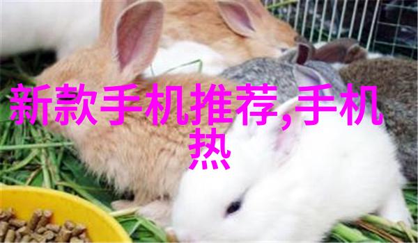 一体化水处理设备如何改变农村饮用水的面貌