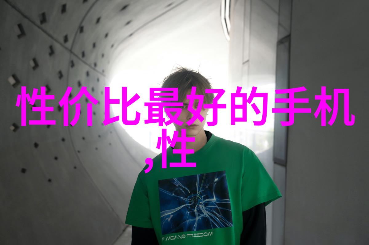 三瓣六瓣填料安装指南确保您的系统运行顺畅