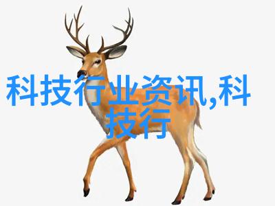 疯狂七十二小时打扑克小孩的奇迹成长记