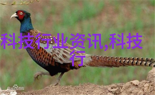 智能免漆门未来家居的创新选择与实用技术探索