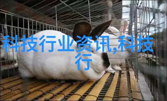 探索实验室之心高科技设备的奇妙世界