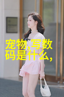 重量之眼检重机的精确与重要性