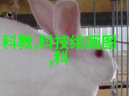 气动调节阀的应用与原理解析