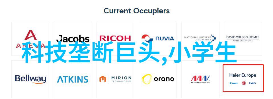 雷蒙机在不同行业中的多样应用案例分析