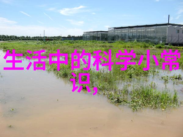 校草背后的宿敌揭秘双方复杂关系的真相