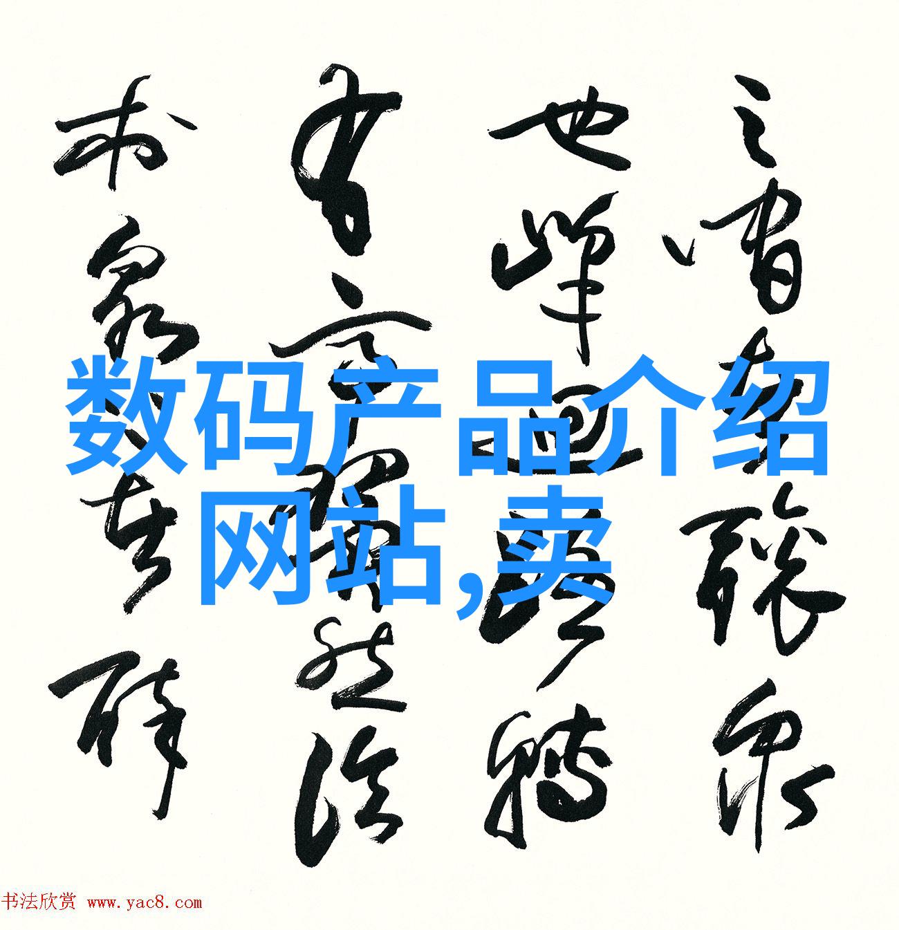 两元店批发市场的热闹风情