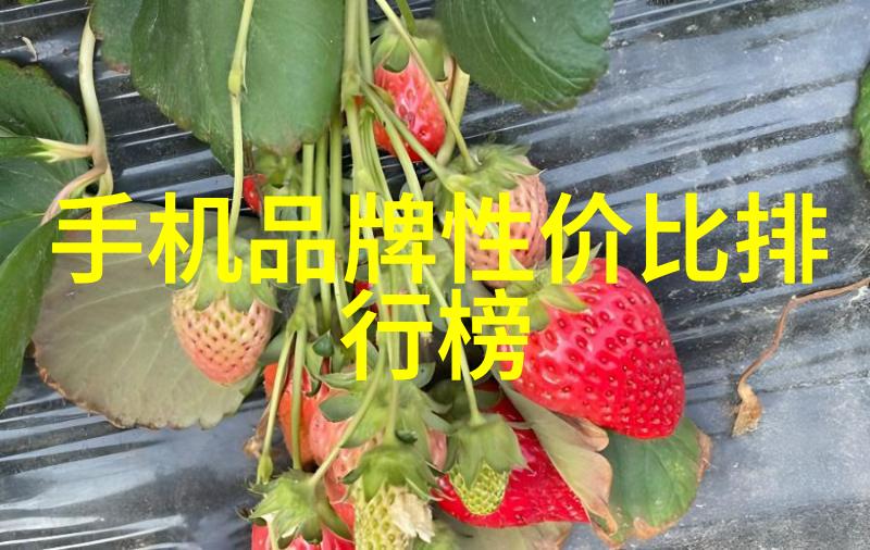 iPhone14Pro超越边界的科技之旅