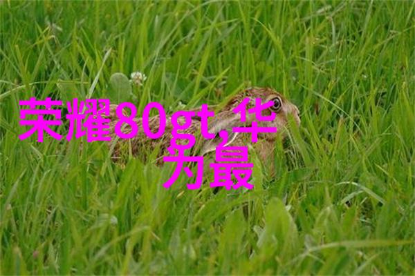随着技术进步未来我们可以预见哪些创新性的改进将应用于现有的挖掘机配置方案中