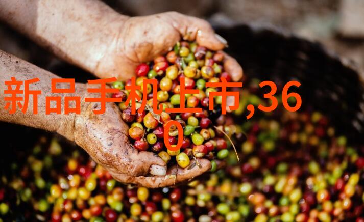 现代食品加工中为什么需要高速旋转蒸发器