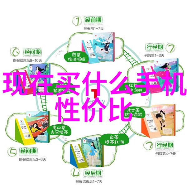 数码发烧友网站瑞尼A1高清隐形执法录像机 - 你的视角高分辨的证据