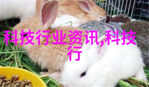 大连财经学院铸就经济管理人才的殿堂