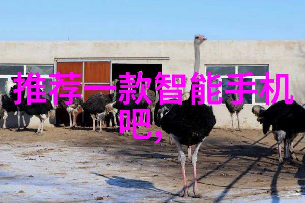 手机科技-最新一代智能手机中文全解析探索10款顶尖设备的创新之路