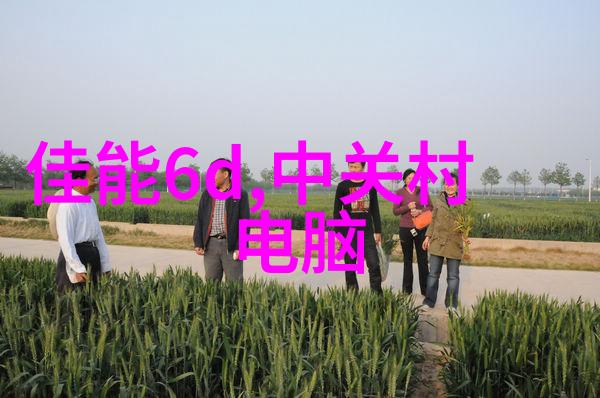 主题我是如何用燃气蒸汽发生器解决了家庭洗衣机的热水问题的