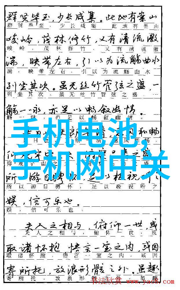 在张鹭看来成功的关键因素是什么