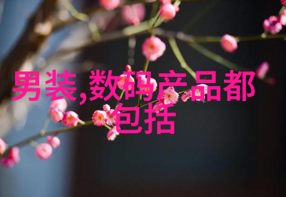 城建改革下的挑战与机遇观察 北京住宅外墙保养新趋势