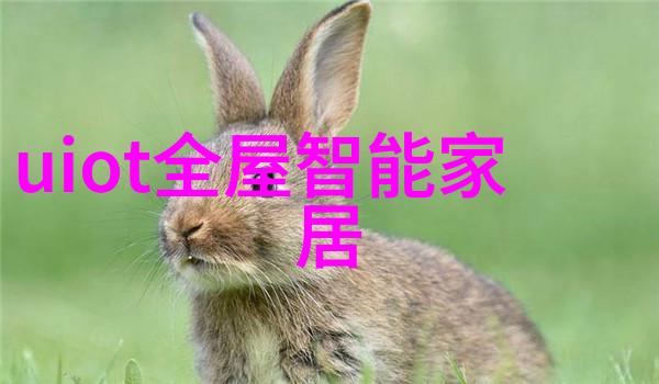御者之妻 - 皇家马匹的守护者与伴侣