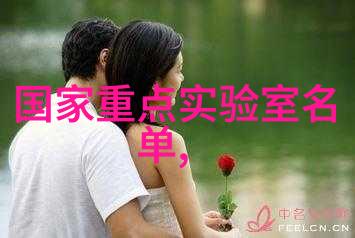 小型蒸汽发生器-精密热能转换的秘诀