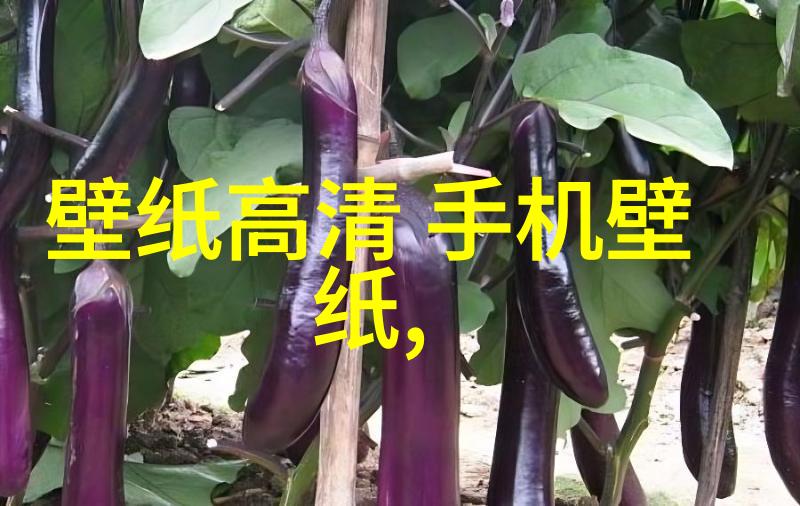 不锈钢板材的多面手从耐腐蚀到装饰艺术