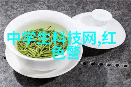 空气预热器暖流传递舒适生活的关键技术