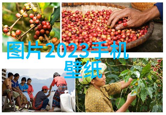 cpvc电力管规格及壁厚表 - CPVC电力管的选择与应用详解规格及壁厚标准