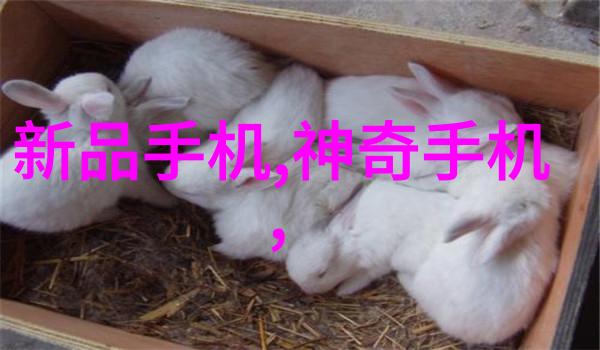 黄磷的秘密从化学元素到生活中的应用与安全防范