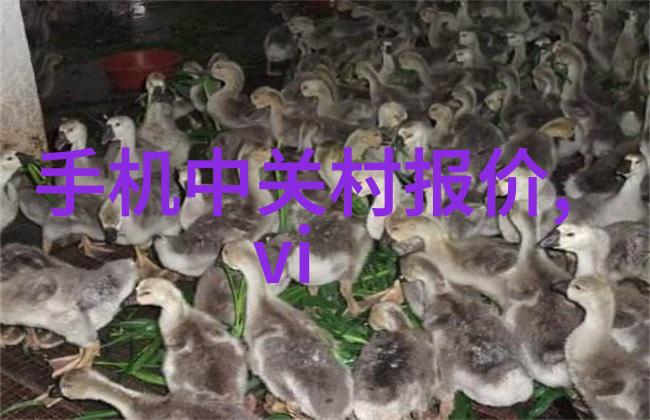 操作技巧与安全标准确保压片机运行顺畅