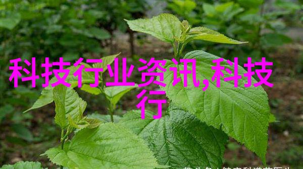 创新材料处理方法现代胶体磨技术概述