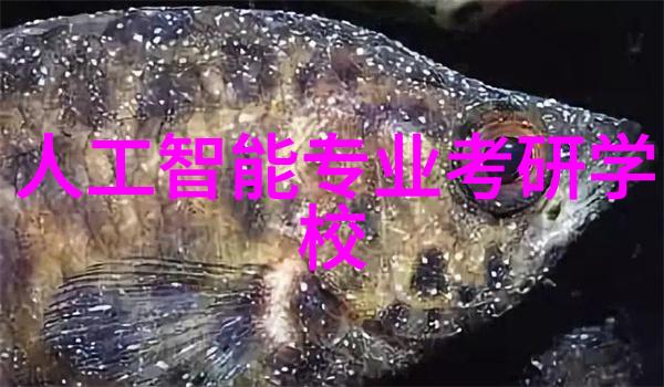 水质检测中的TDS值什么范围被认为是理想的