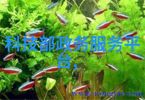 我来告诉你苹果12手机价格是不是让你也有点头疼