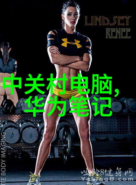 真空机的奥秘揭开吸力与压力的神奇世界