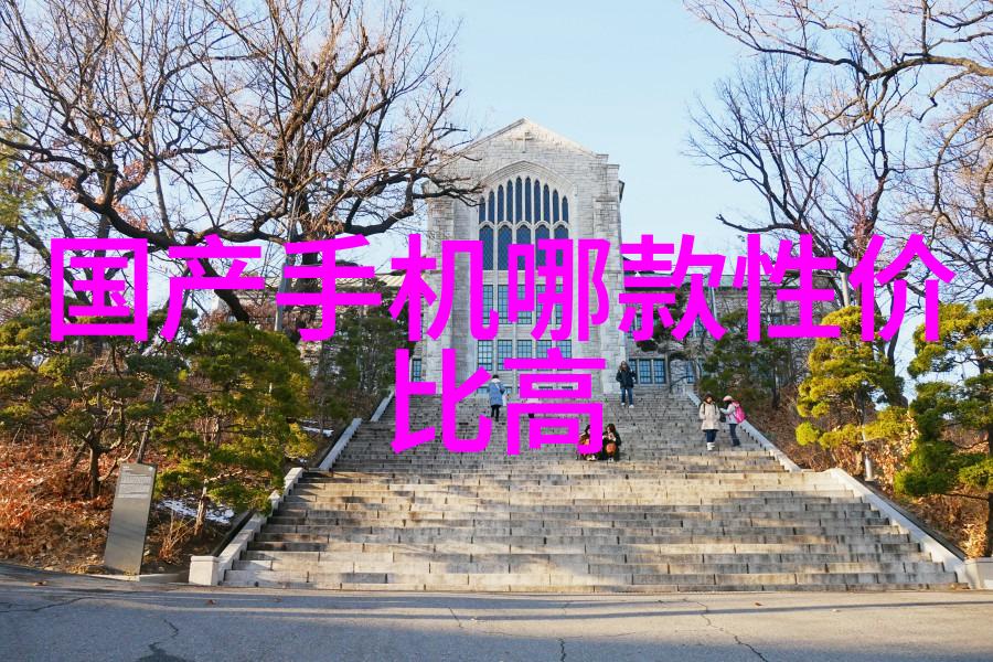 俄罗斯新星Z0OOZO的艺术探索与时尚魅力