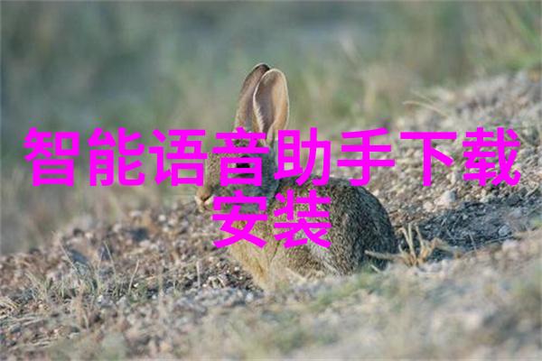 乱堆填料和规整填料的特点我的大坑与小坑之间的差异